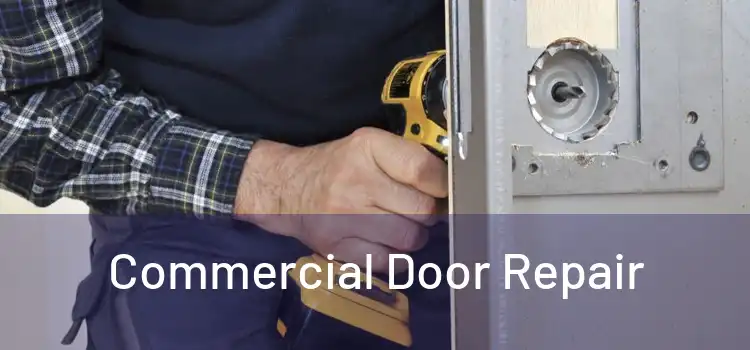Commercial Door Repair